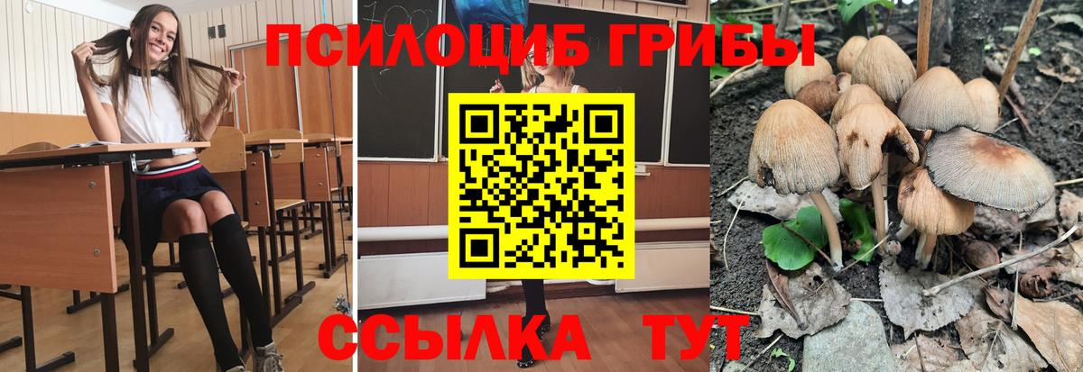 Псилоцибиновые грибы ЛСД Мончегорск