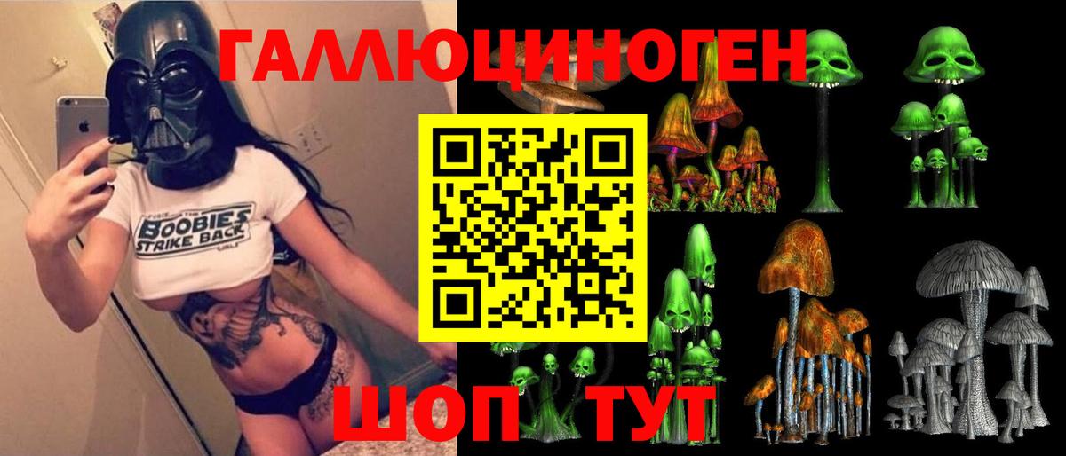 Мончегорск  Псилоцибиновые грибы Psilocybine cubensis  Вход с VPN 